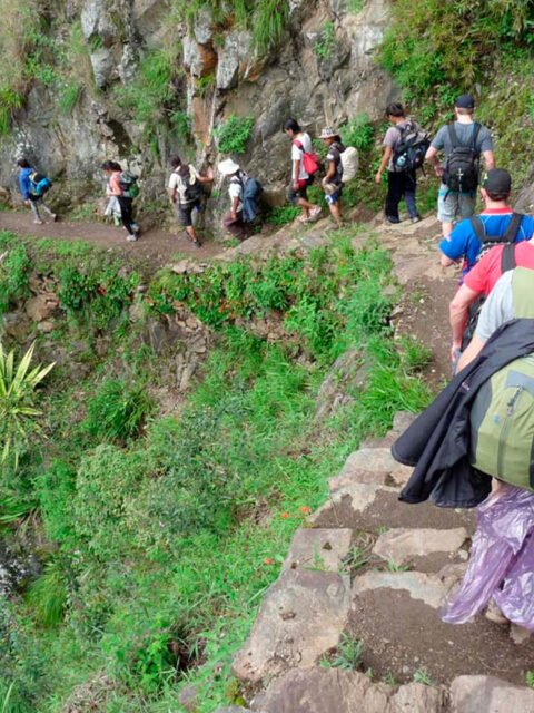 Inca Jungle to Machu Picchu 4 Days/ 3 Nights ( the historical adventure )